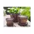 Verandah 8x6.5 Oxi Standard with Saucer