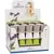 Scheurich 2.75" Expressive Assorted 937/07 Planter