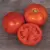 Tomato, Mountain Man - 1000 Seed Count