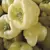 Peppers, Habanero White - 500 Seed Count