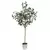Algreen 71" Eucalyptus