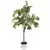 Algreen 53" Ficus Tree