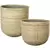 MCarr 24pc Canxe Bamboo Planter Pallet Natural