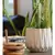 Geo 5" Aurora Planter