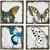 VCS 10" Wood Butterfly Plaques