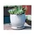 Verandah 5" Wsp Maui Pot