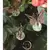 E-V 24pc Small Garden Critter Pot Sticker Display Assorted