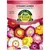 HELICHRYSUM,Strawflower SEMI-DWF Bouquet MX 280 MG