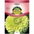 ZINNIA, ENVY 590 MG.