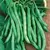 Beans, Burpee Stringless - 25lb