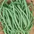 Beans, Slenderette Bush - 25lb