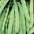 Beans, Roma II - 25lb