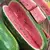 Watermelon, Jubilee - 1/2lb