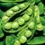 Limas, King Of Garden Pole - 50lb