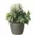 Algreen 16"x14" Mosaic Planter Brown