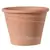 Deroma 6.7" Vasum Duo Blush Clay Case Pack
