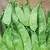 Peas, Oregon Sugar Pod II - 1lb