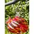 APM Hummingbird Feeder Small Red