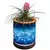 APM 8" Art Glass LED Planter Blue Marble
