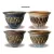 MCarr 48PC Round Siamese Planter Plt