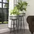 Panacea 20" Modern Farmhouse Wire Basket Plant Stand