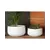 Avenue 8.5" Corrugated Bowl Planter WCC