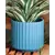 Palm Spring 8" Brush Comb Planter Dnm