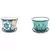 Talavera 8" Pot with Saucer