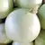 Onion, White Sweet Spanish - 5,000 Seed Count