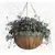Austram 14" Queen Anne Round Hanging Green