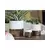 Jewel 4" Cache Pot Ivw