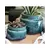 Jewel 4.5" Self Watering Pot Ems