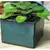 Verandah 6x4.5 Square Self Watering Jade