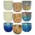 MCarr 81pc Mix Planter Pallet Mixed Colors
