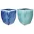 MCarr 16pc Camillia Square Planter Pallet Mixed Colors