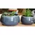 Jewel 8.5" Freeform Bowl Nbl