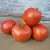 Tomato, Early Girl - 100 Seed Count