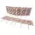 Amblyseius andersoni 1,000 mini sachets on sticks 125 mites per sachet ( Spider Mite )