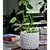 Fiesta Art 6.5" Decor Honeycomb Planter