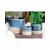 Jewel 8.5" Mug Pot Ntb