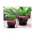 Verandah Gerberba Size B Rbk