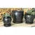 Verandah 6.0" Svr Hilo Orchid Pot