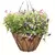 Austram 12" Lotus Planter Black with Chain