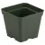 DLN 04.50 SQ TRAD T/W BLK 765/CS 48CS/PL