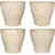 MCarr 40pc Mixed Planter Pallet Yellow Cream