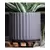 Palm Spring 8" Brush Comb Planter Sgy