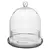 SSI 7" x 8 1/4" Terrarium Cloche