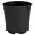 DLN 01.00QT PEREN POT T/W TL BLK 475/CS 33CS/PL