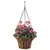 Deer Park Solera Hanging Basket With Coco Liner
