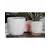 Jewel 4.5" Freeform Pot Ivc